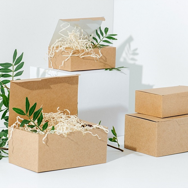 biodegradable boxes wholesale