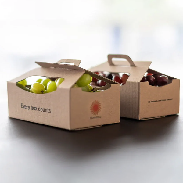 custom food double wall lid boxes