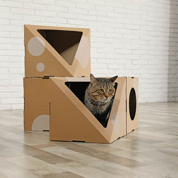 display boxes with die cut packaging