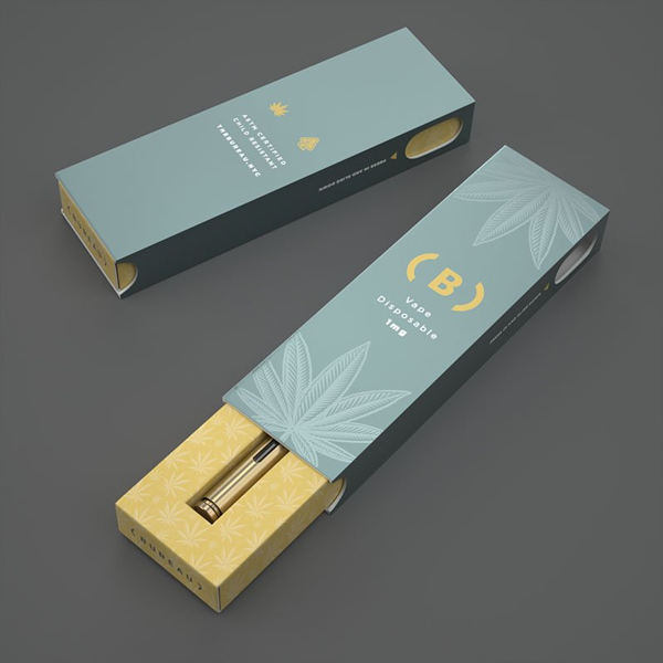 printed child resistant vape boxes