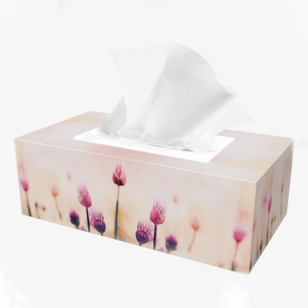 printed tissue boxes